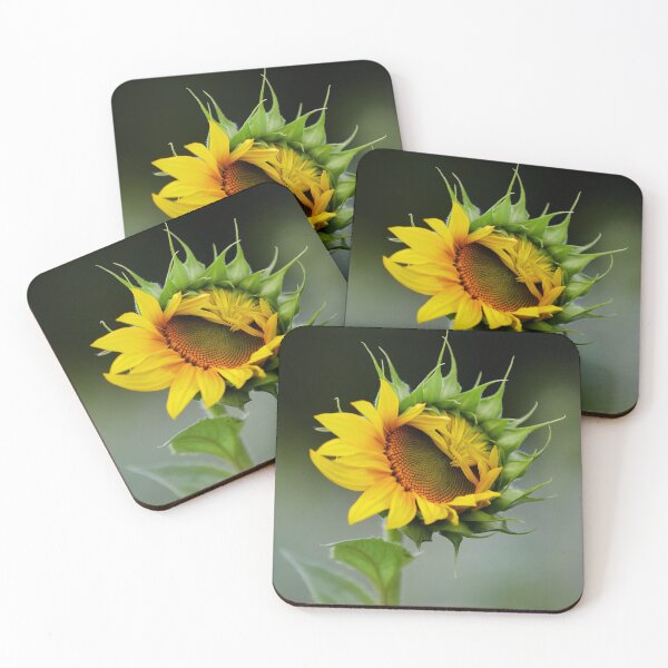 Item preview, Twink. Sunflower designed and sold by Jouko Lehto Photography.