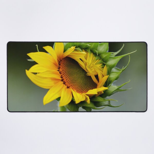 Item preview, Twink. Sunflower designed and sold by Jouko Lehto Photography.