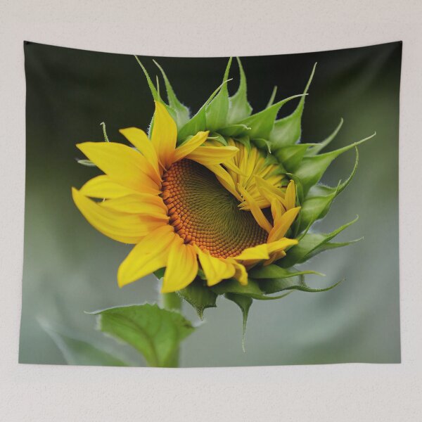 Item preview, Twink. Sunflower designed and sold by Jouko Lehto Photography.