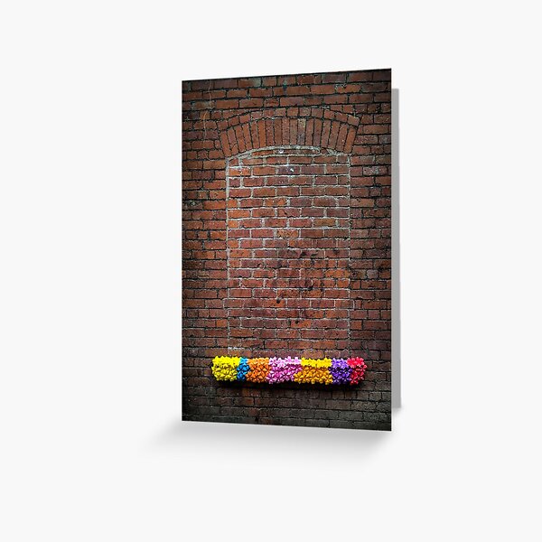 Windowsill street art Greeting Card