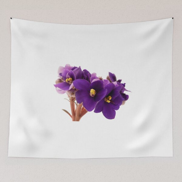 Item preview, African violet designed and sold by troianifabrizio.