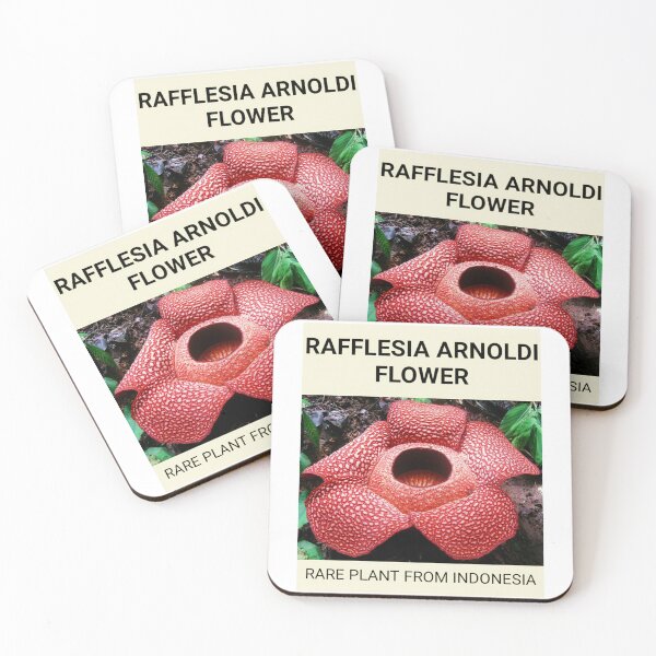 Item preview, Rafflesia Arnoldi Flower designed and sold by Benix.
