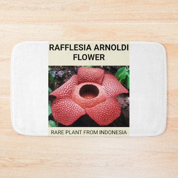 Item preview, Rafflesia Arnoldi Flower designed and sold by Benix.