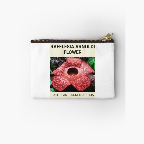 Item preview, Rafflesia Arnoldi Flower designed and sold by Benix.