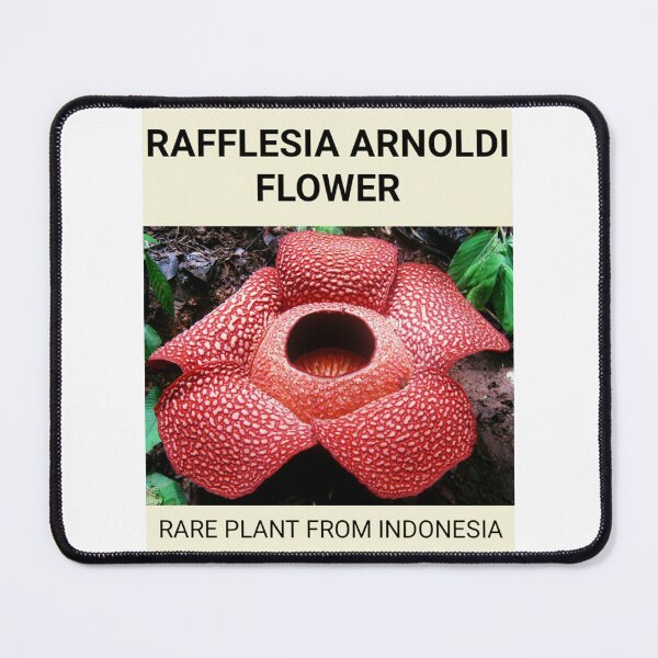 Item preview, Rafflesia Arnoldi Flower designed and sold by Benix.