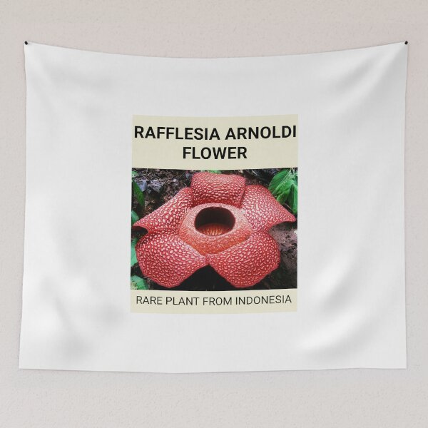 Item preview, Rafflesia Arnoldi Flower designed and sold by Benix.