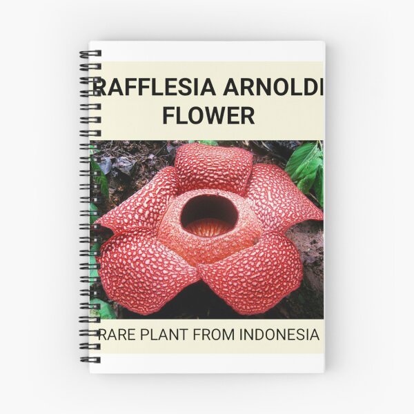 Item preview, Rafflesia Arnoldi Flower designed and sold by Benix.