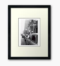 New York Llama Framed Print