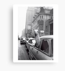 New York Llama Metal Print