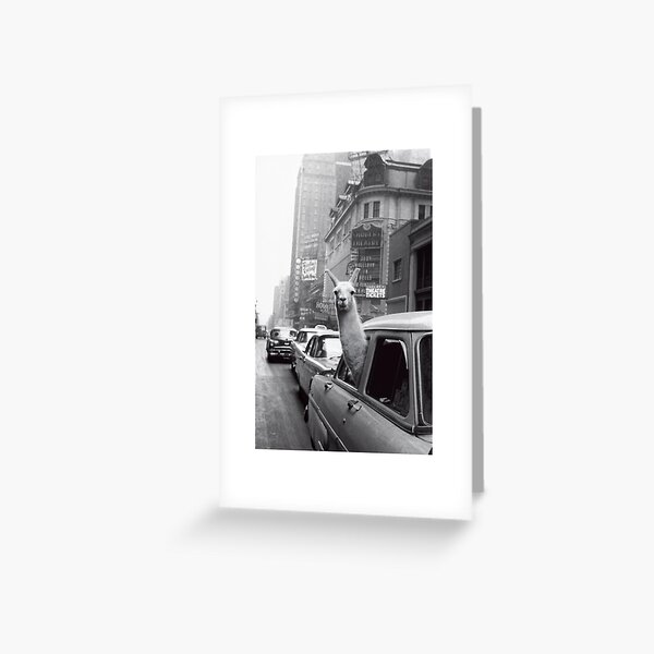 Black And White Greeting Cards Redbubble