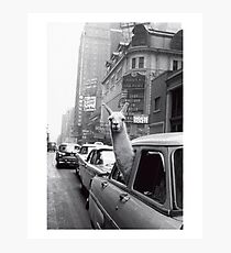 New York Llama Photographic Print