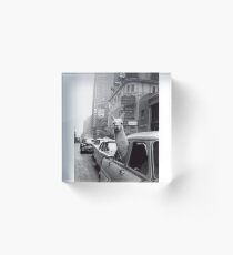New York Llama Acrylic Block