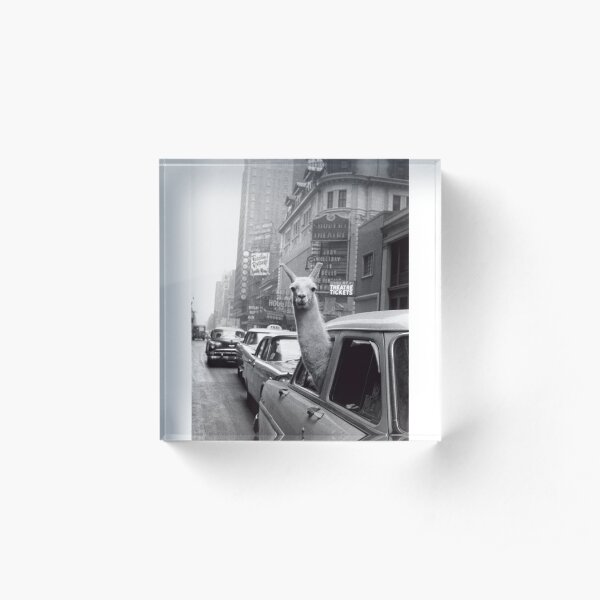 New York Llama Acrylic Block