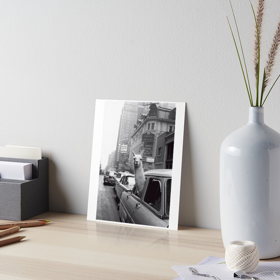 New York Llama Art Board Print