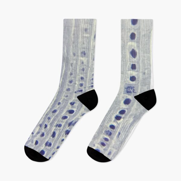 Item preview, Onion Root Tip Cells Flat  designed and sold by LuxeHurricane.
