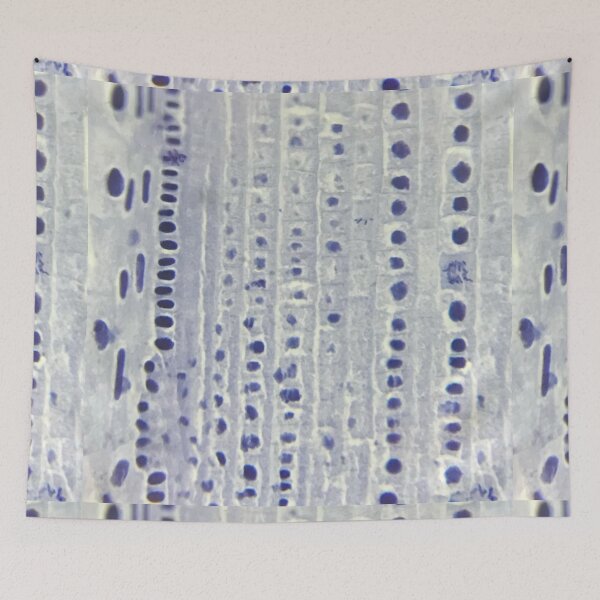 Item preview, Onion Root Tip Cells Flat  designed and sold by LuxeHurricane.