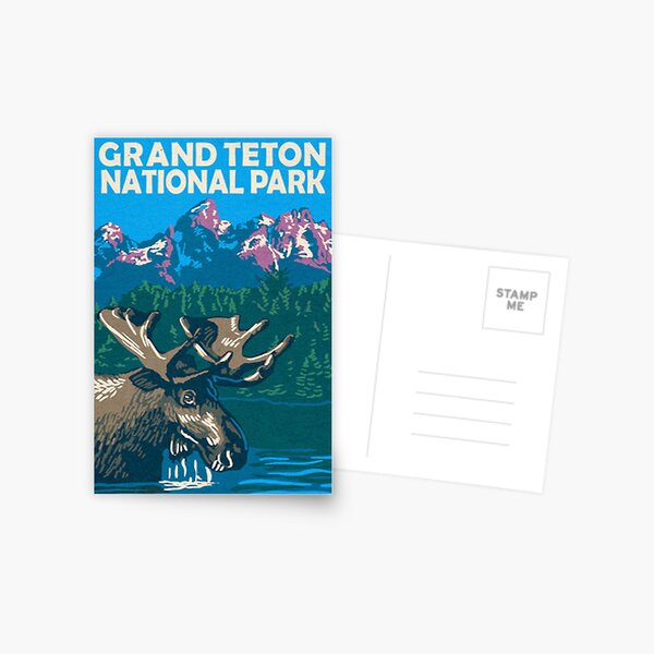 Moose in Grand Teton National Park Wyoming Travel Decal Postcard