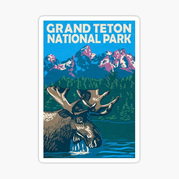 Moose in Grand Teton National Park Wyoming Travel Decal Sticker