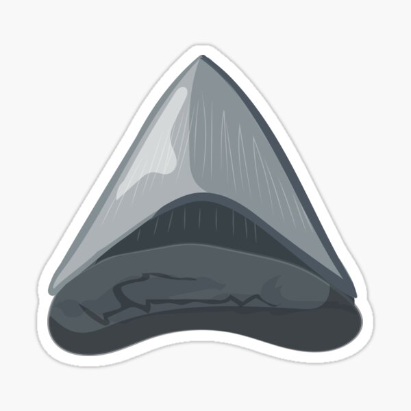 Item preview, Megalodon Tooth (Prehistoric Shark Tooth) designed and sold by prehistoricco.