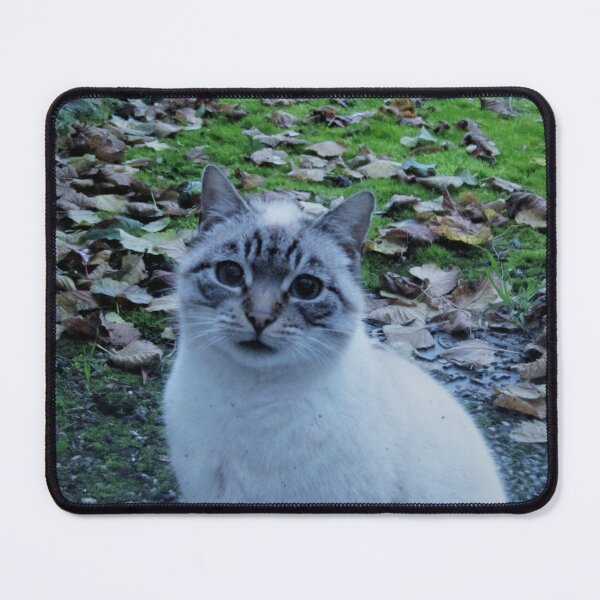 Item preview, Autumn cat designed and sold by ART22.