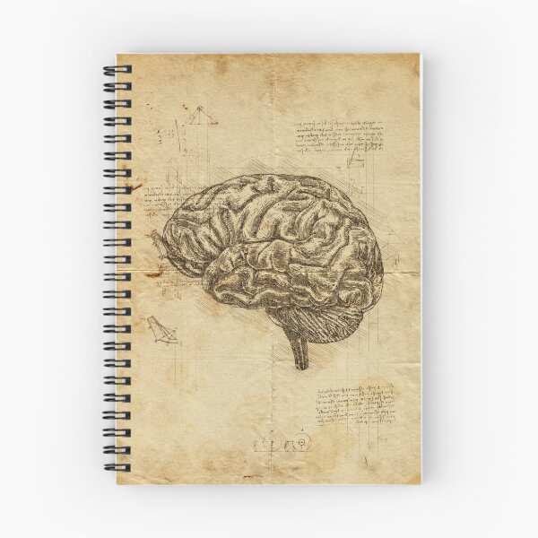 Item preview, Human Brain anatomy: Anatomical brain on Leonardo Da Vinci sketches notebook designed and sold by HA  Design.