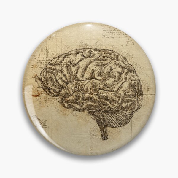 Item preview, Human Brain anatomy: Anatomical brain on Leonardo Da Vinci sketches notebook designed and sold by HA  Design.