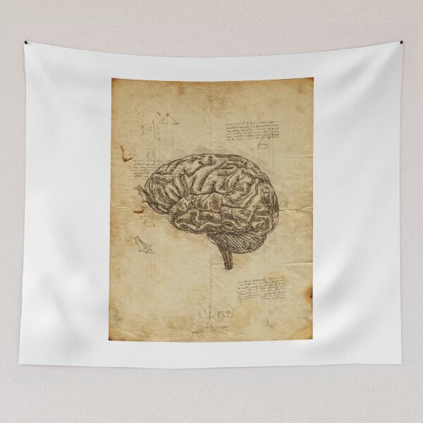 Item preview, Human Brain anatomy: Anatomical brain on Leonardo Da Vinci sketches notebook designed and sold by HA  Design.