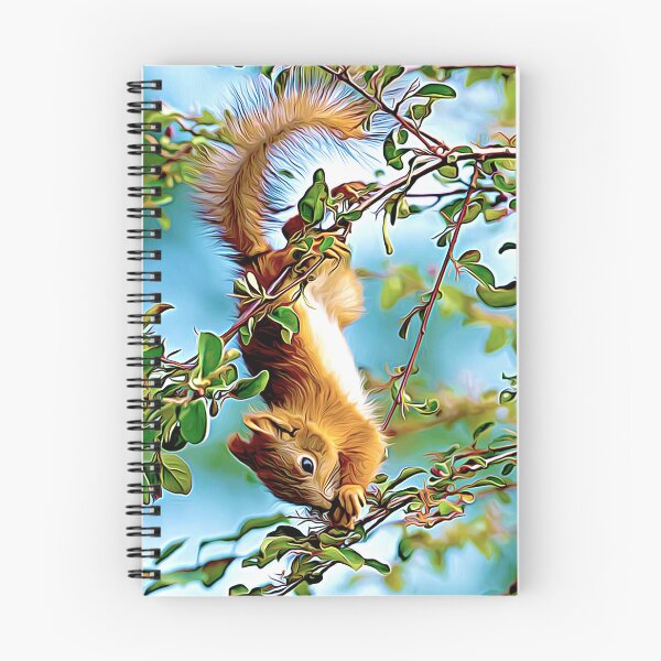 Item preview, Squirrel designed and sold by kimberpix.