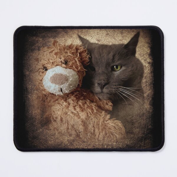 Item preview, Cute cat with Teddy bear designed and sold by ConfuciusNinja.