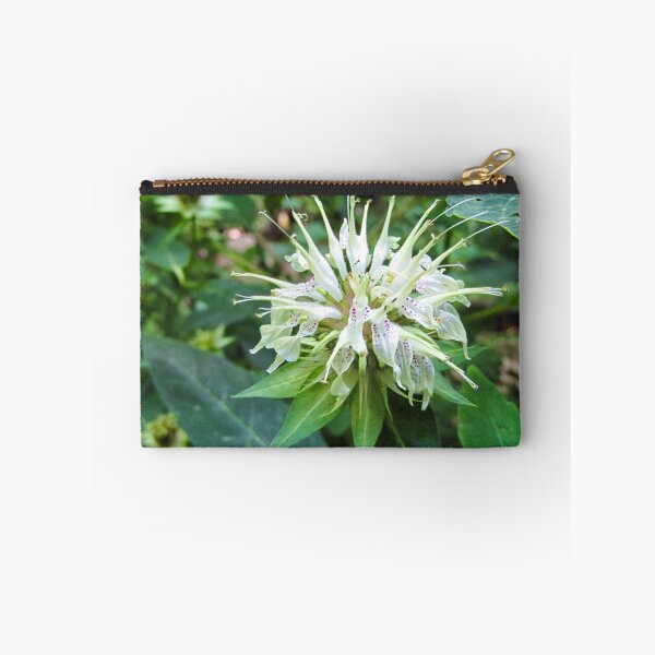Item preview, Bergamot  designed and sold by Paul Lubaczewski.