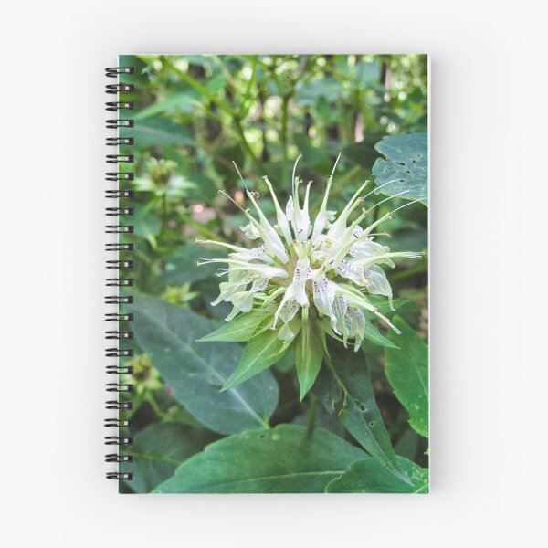 Item preview, Bergamot  designed and sold by Paul Lubaczewski.