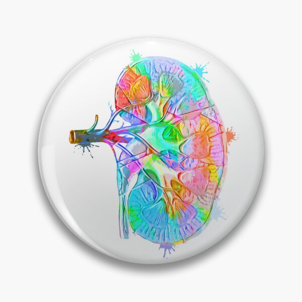 Item preview, Human Kidney Anatomy : Colorful anatomical Kidney in Watercolor and ink canva designed and sold by HA  Design.