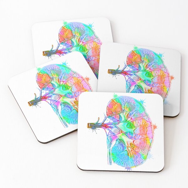 Item preview, Human Kidney Anatomy : Colorful anatomical Kidney in Watercolor and ink canva designed and sold by HA  Design.