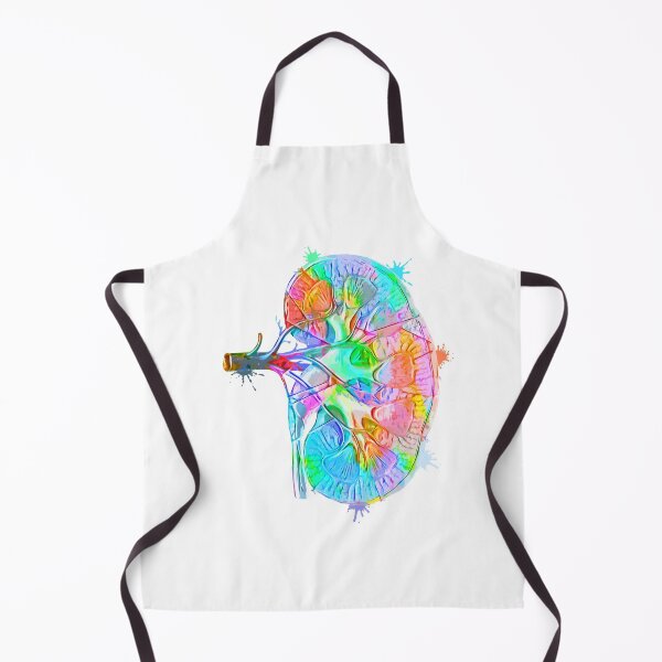 Item preview, Human Kidney Anatomy : Colorful anatomical Kidney in Watercolor and ink canva designed and sold by HA Design.