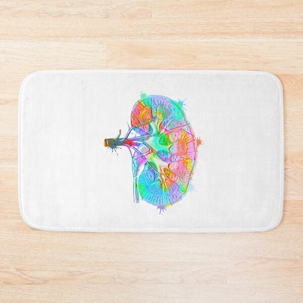 Item preview, Human Kidney Anatomy : Colorful anatomical Kidney in Watercolor and ink canva designed and sold by HA Design.
