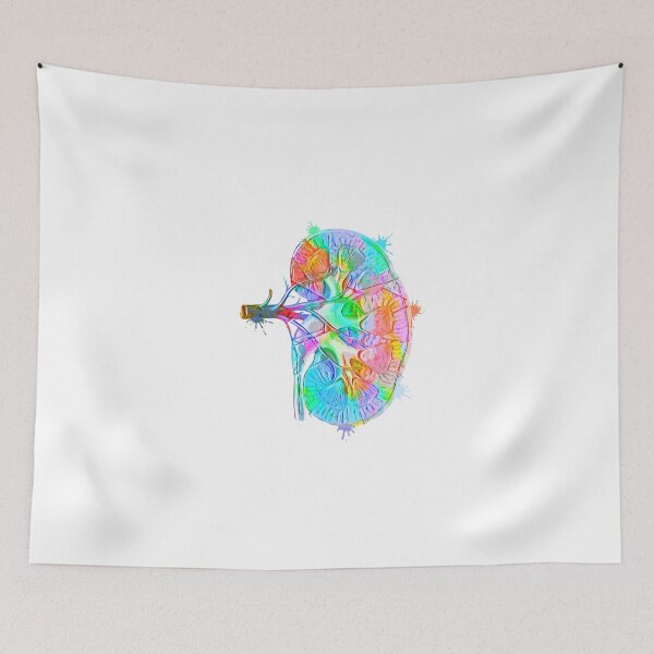 Item preview, Human Kidney Anatomy : Colorful anatomical Kidney in Watercolor and ink canva designed and sold by HA Design.