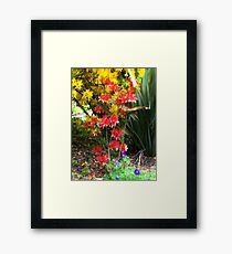 colours Framed Print