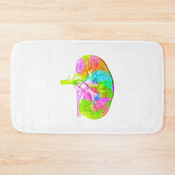 Item preview, Human Kidney Anatomy : Colorful anatomical Kidney in Watercolor and ink canva designed and sold by HA Design.