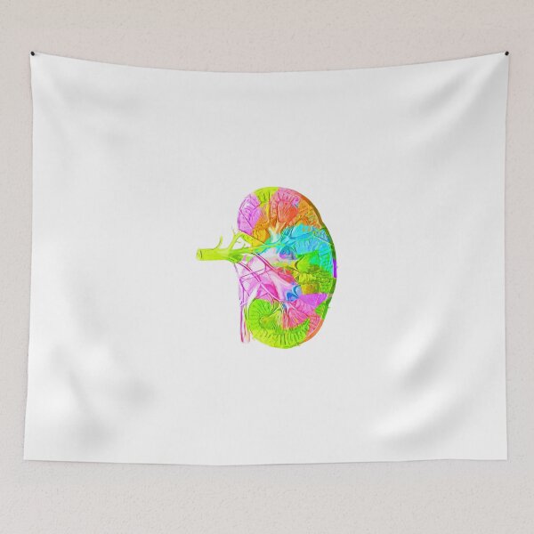 Item preview, Human Kidney Anatomy : Colorful anatomical Kidney in Watercolor and ink canva designed and sold by HA Design.