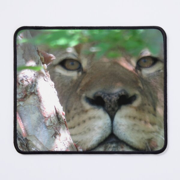 Item preview, Stalking Lioness designed and sold by AMarion418.
