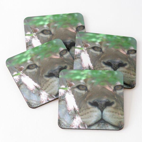 Item preview, Stalking Lioness designed and sold by AMarion418.