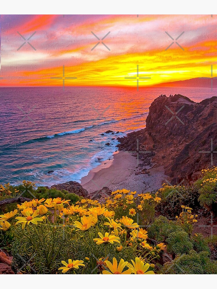 “Malibu Leo Carrillo Beach Sunset, Malibu Point Dume Coast Aesthetic