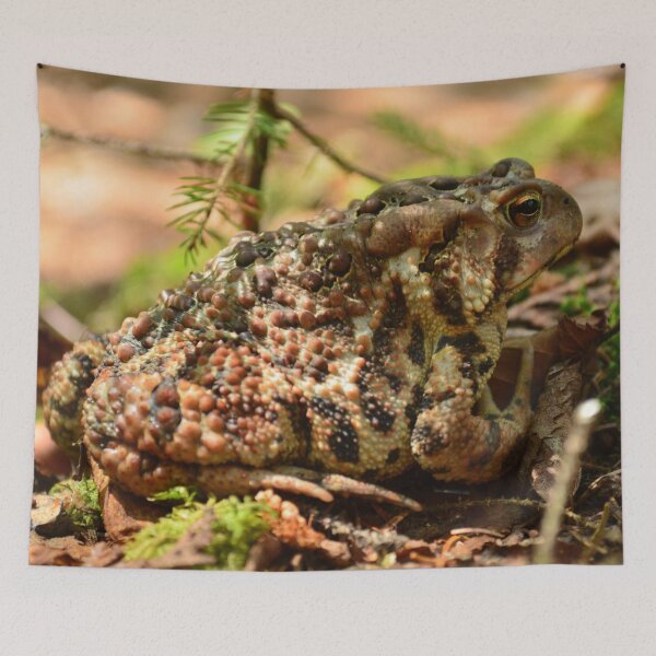 Item preview, Toad rest designed and sold by enchantedvibes.