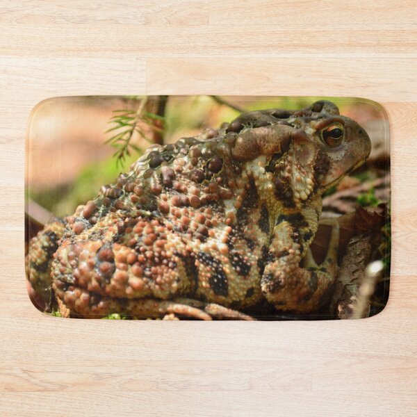 Item preview, Toad rest designed and sold by enchantedvibes.
