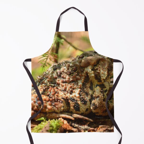 Item preview, Toad rest designed and sold by enchantedvibes.