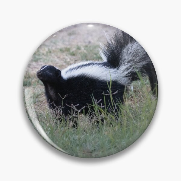 Item preview, Mr Skunk does a posing designed and sold by Anthony Brewer.