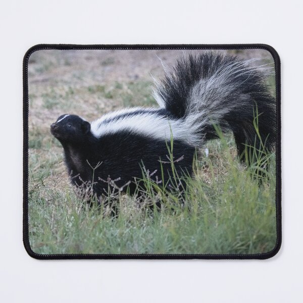 Item preview, Mr Skunk does a posing designed and sold by Anthony Brewer.