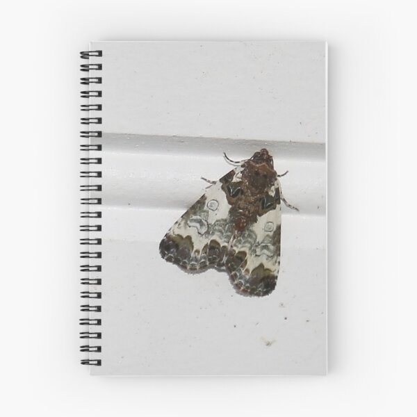 Item preview, Tufted Bird Dropping Moth designed and sold by Alice Kahn.