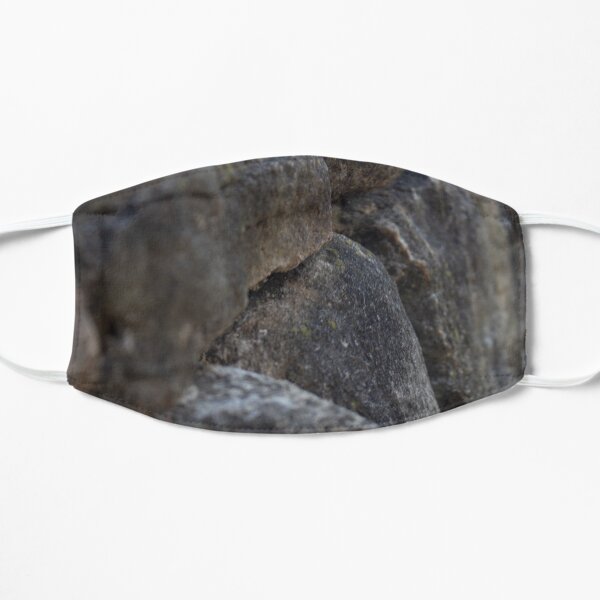 Cute Wall Flat Mask