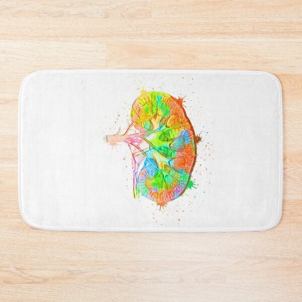 Item preview, Human Kidney Anatomy : Colorful anatomical Kidney in Watercolor and ink canva designed and sold by HA Design.